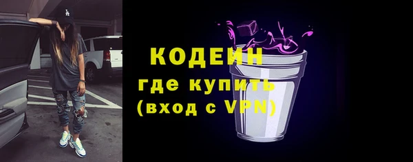 индика Няндома