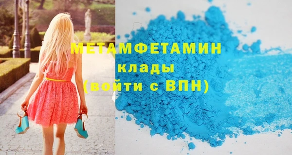 индика Няндома