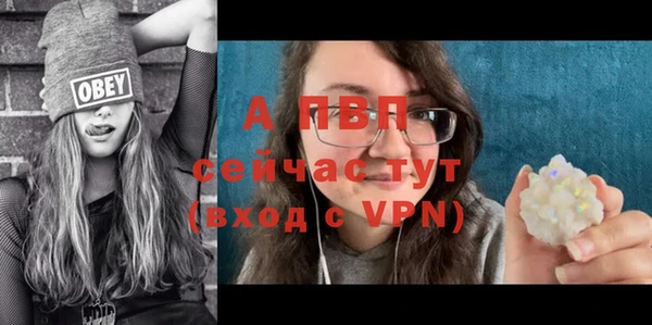 винт Арсеньев